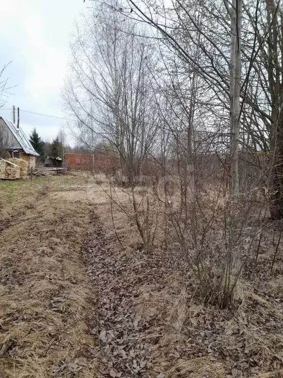 Участок в Вологодская область, Анциферово садоводческое товарищество  ... - Фото 1