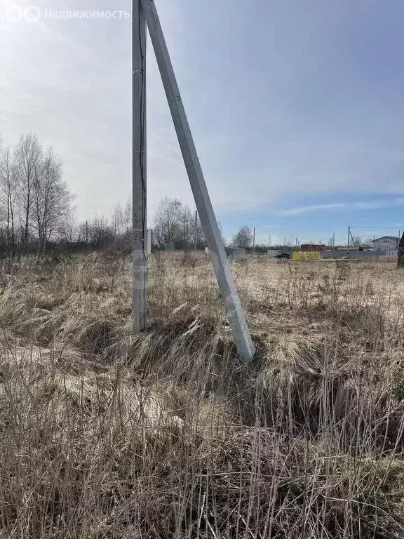Участок в Кострома, коттеджный посёлок Соколиное Гнездо, 1 (8.3 м) - Фото 1