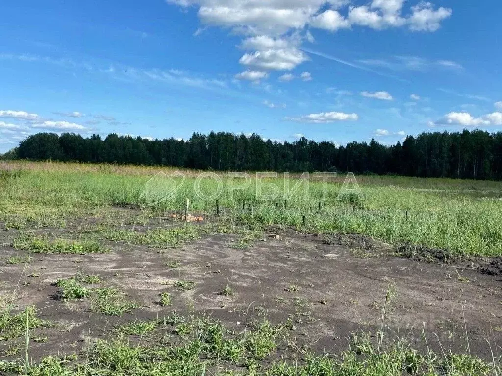 Участок в Тюменская область, Тюменский муниципальный округ, с. ... - Фото 2