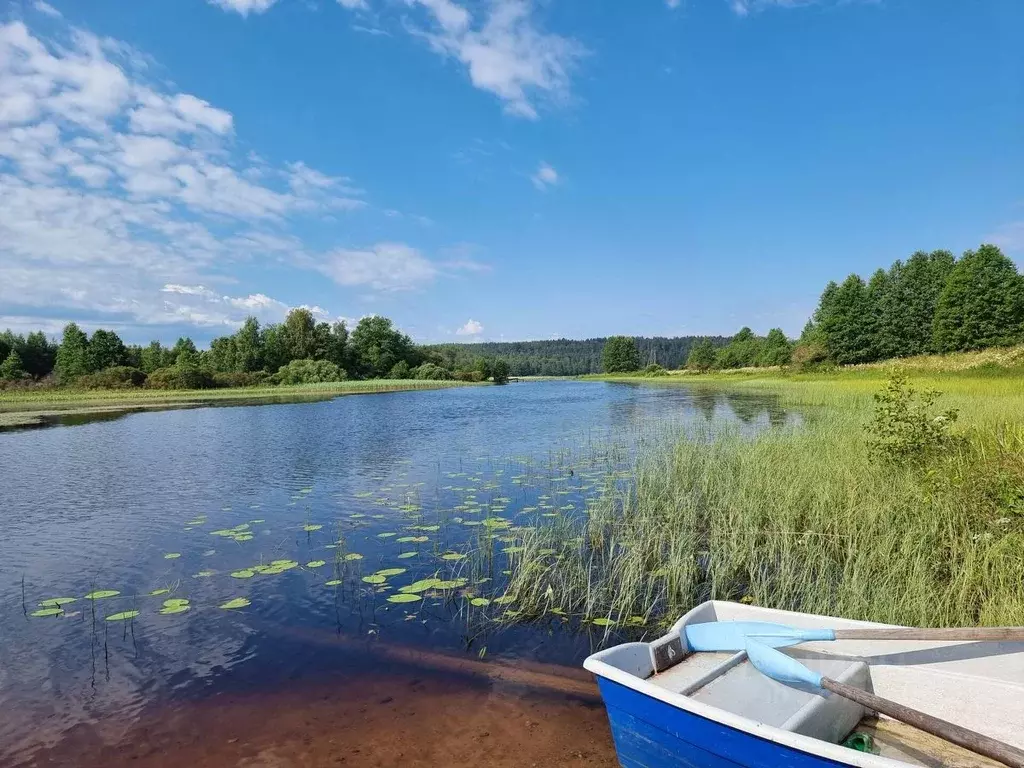 Участок в Ленинградская область, Выборгский район, Каменногорское ... - Фото 1