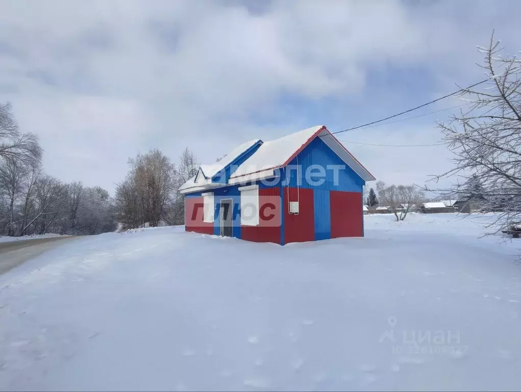 Дом в Брянская область, Почепский район, Польниковское с/пос, д. ... - Фото 1