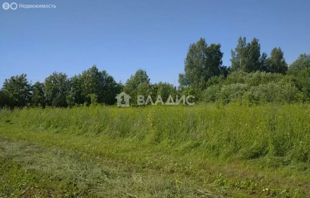 Участок в Владимирская область, Юрьев-Польский муниципальный округ, ... - Фото 0