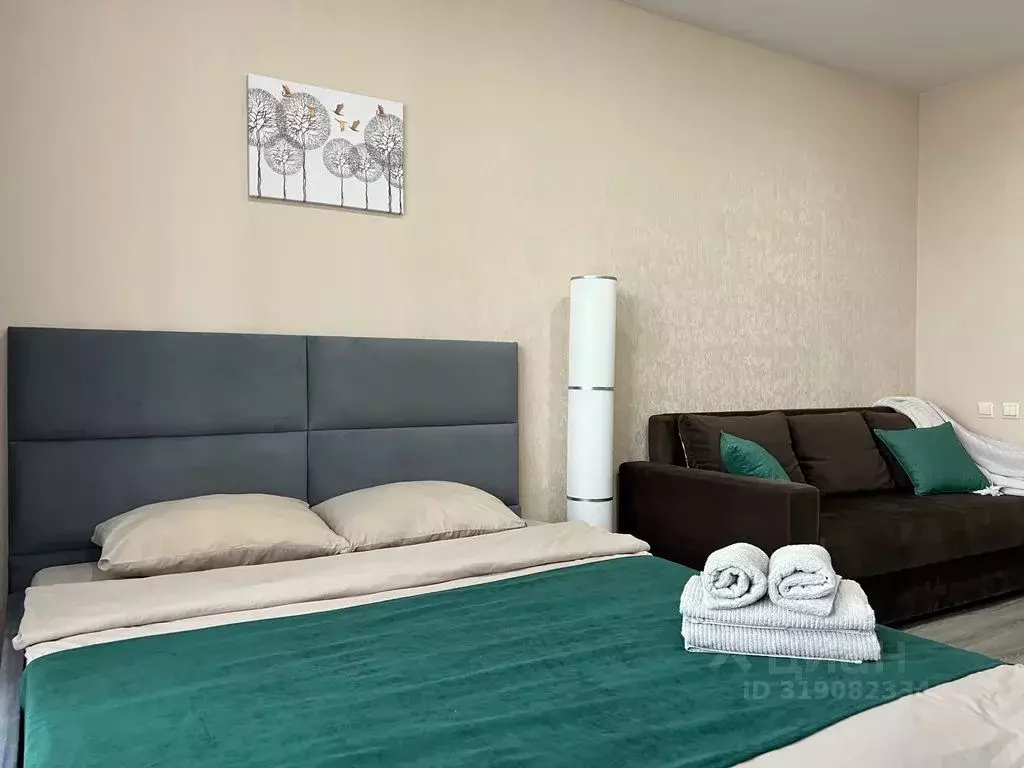 Студия Татарстан, Казань ул. Родины, 26Б (29.0 м) - Фото 0