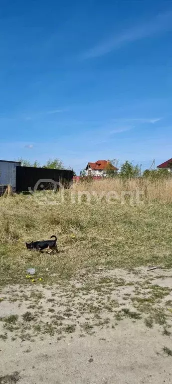 Участок в Калининградская область, Гурьевский муниципальный округ, ... - Фото 2