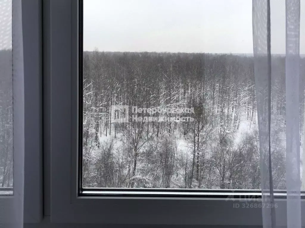 1-к кв. Санкт-Петербург ул. Пейзажная, 16к1 (34.7 м) - Фото 1