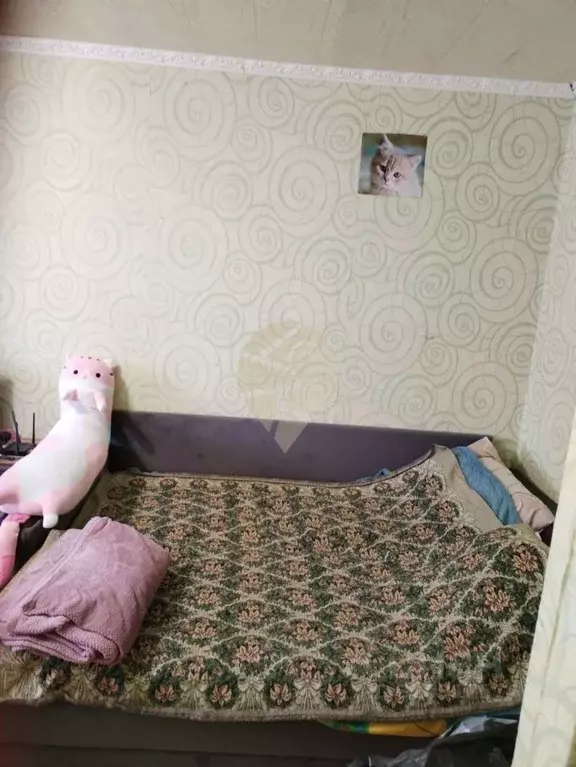 2-к кв. Белгородская область, Старый Оскол Макаренко мкр, 1 (45.31 м) - Фото 1