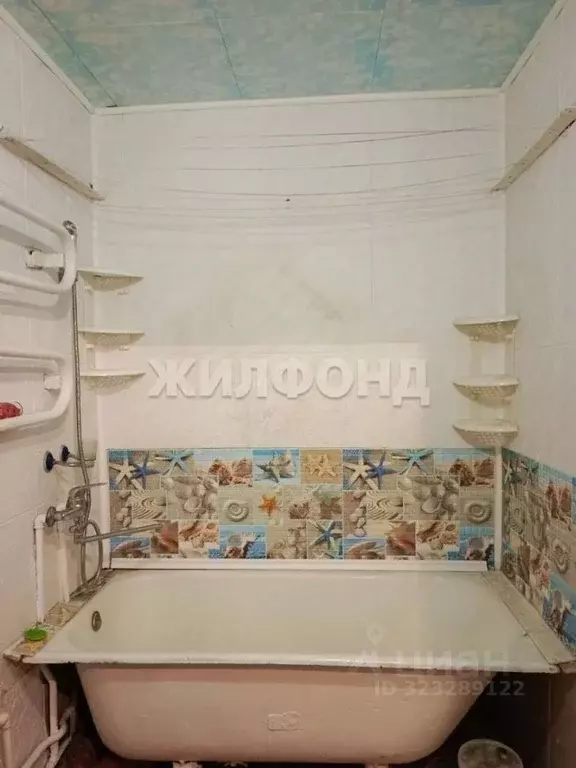 1-к кв. Новосибирская область, Новосибирск Ветлужская ул., 13 (30.1 м) - Фото 2