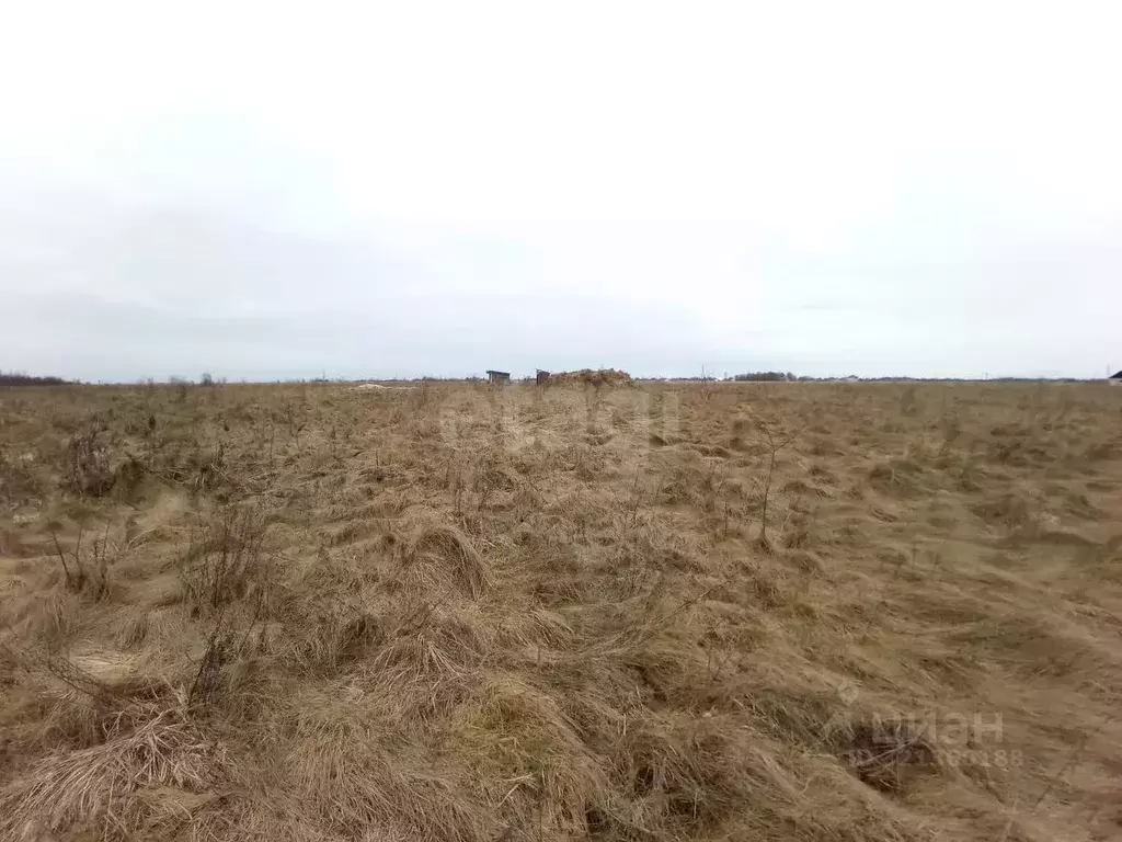 Участок в Псковская область, Псковский район, Логозовская волость, д. ... - Фото 1