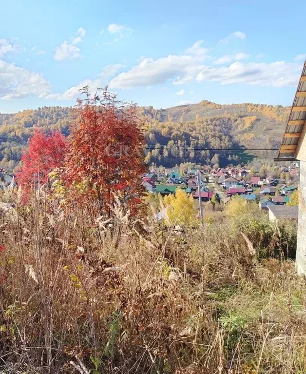 Участок в Алтай, Горно-Алтайск ул. Имени А.М. Гомана (7.8 сот.) - Фото 1