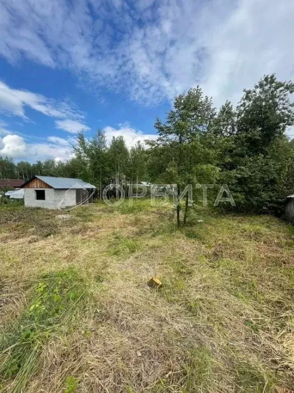 Участок в Тюменская область, Тюмень Факел СНТ,  (11.0 сот.) - Фото 2