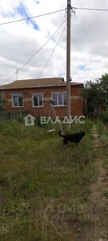 Дом в Саратовская область, Пугачевский район, Заволжское муниципальное ... - Фото 0