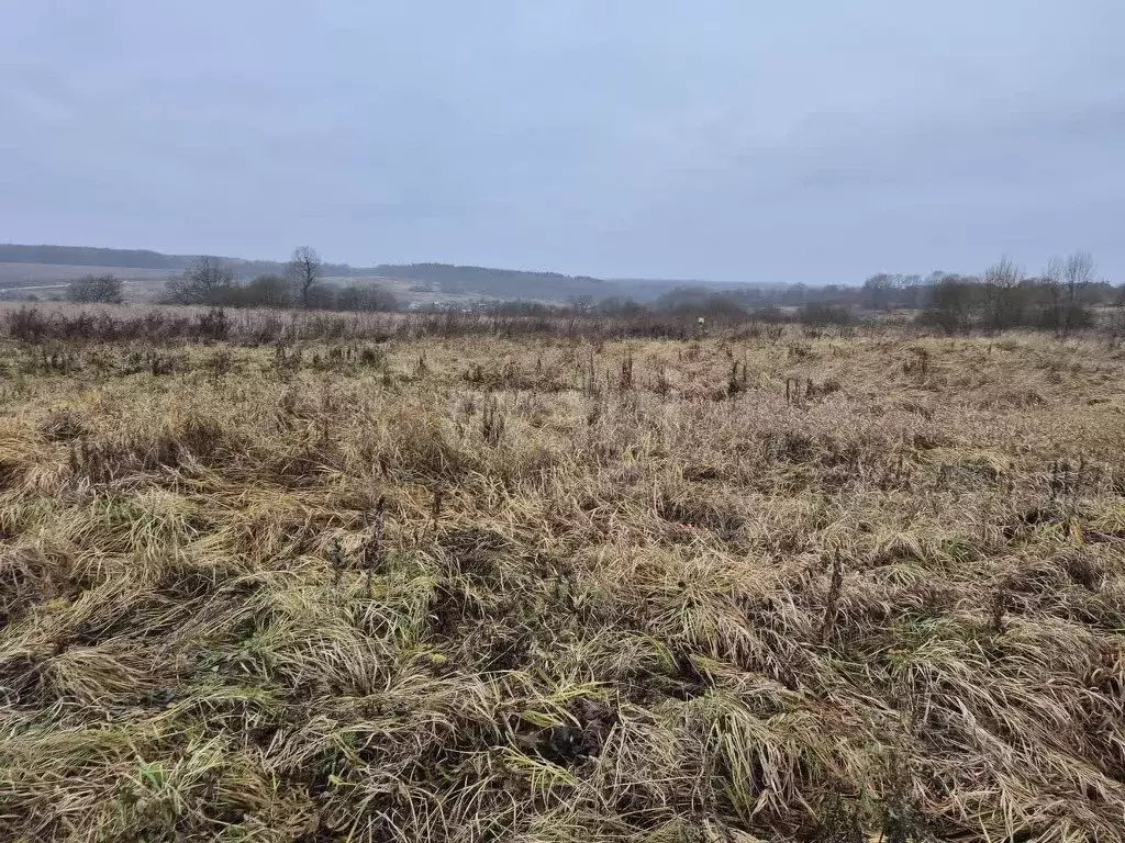 Участок в Калужская область, Перемышльский муниципальный округ, ... - Фото 2