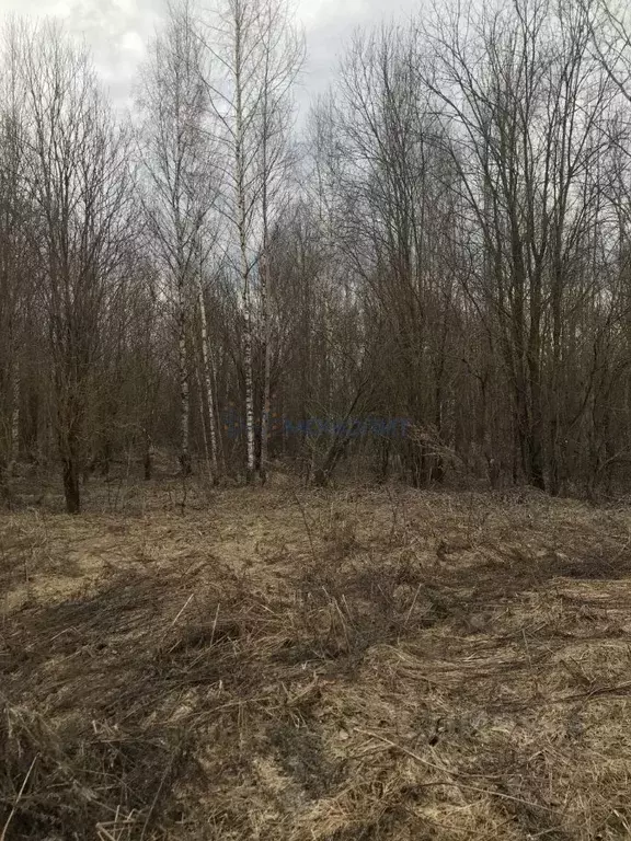Участок в Нижегородская область, Городецкий муниципальный округ, Санда ... - Фото 2