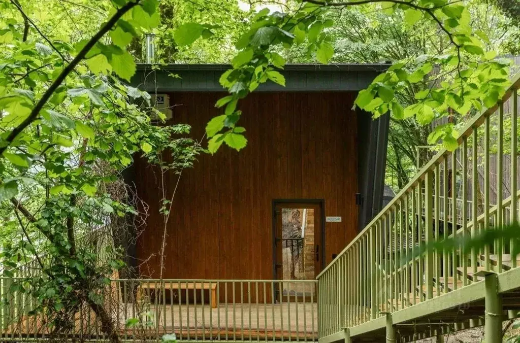 Дом в Краснодарский край, Сочи городской округ, Красная Поляна пгт ул. ... - Фото 1