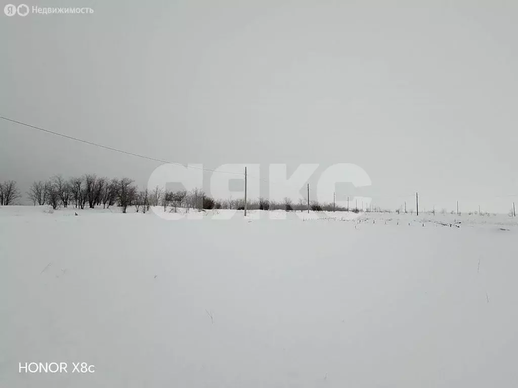 Участок в посёлок Царицын, садовые участки Микояновское (10 м) - Фото 2