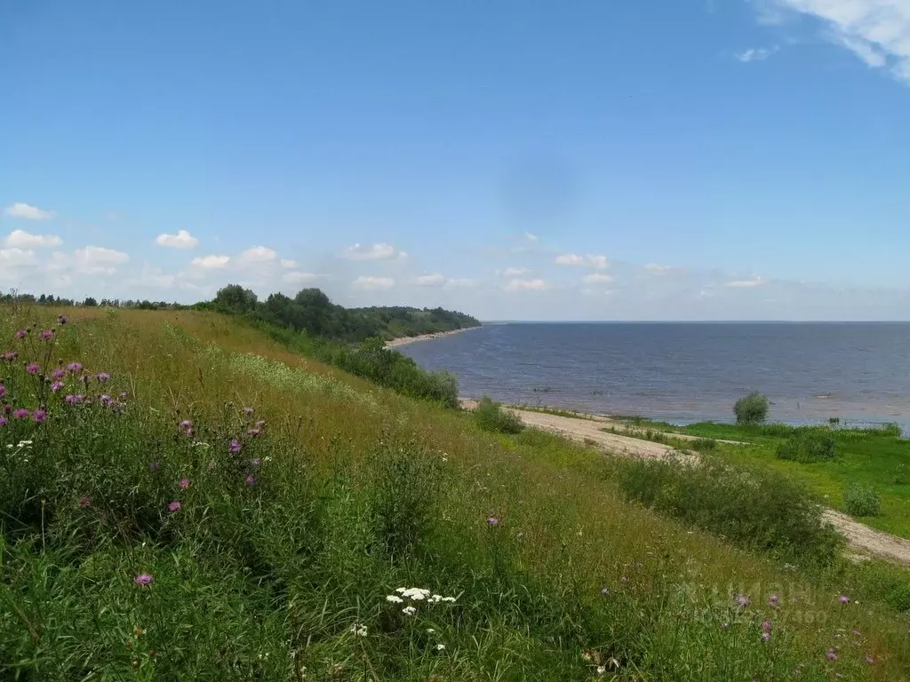 Участок в Новгородская область, Старорусский район, Наговское с/пос, ... - Фото 0