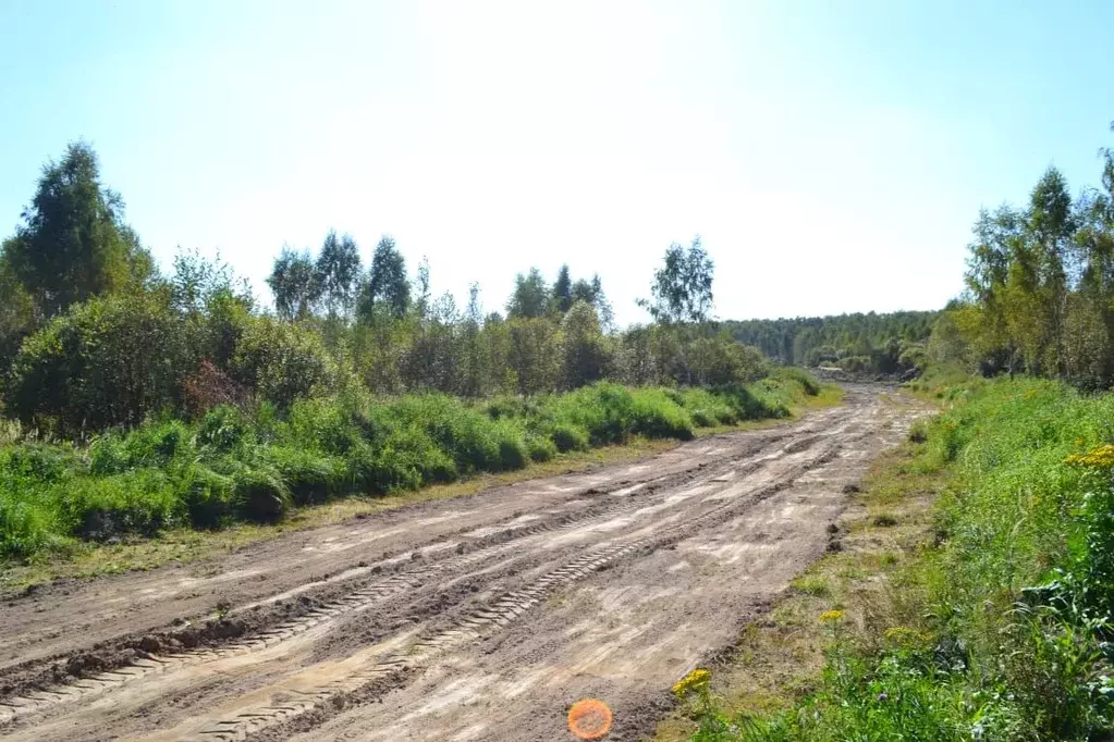 Участок в Московская область, Раменский городской округ, с. Речицы  ... - Фото 1