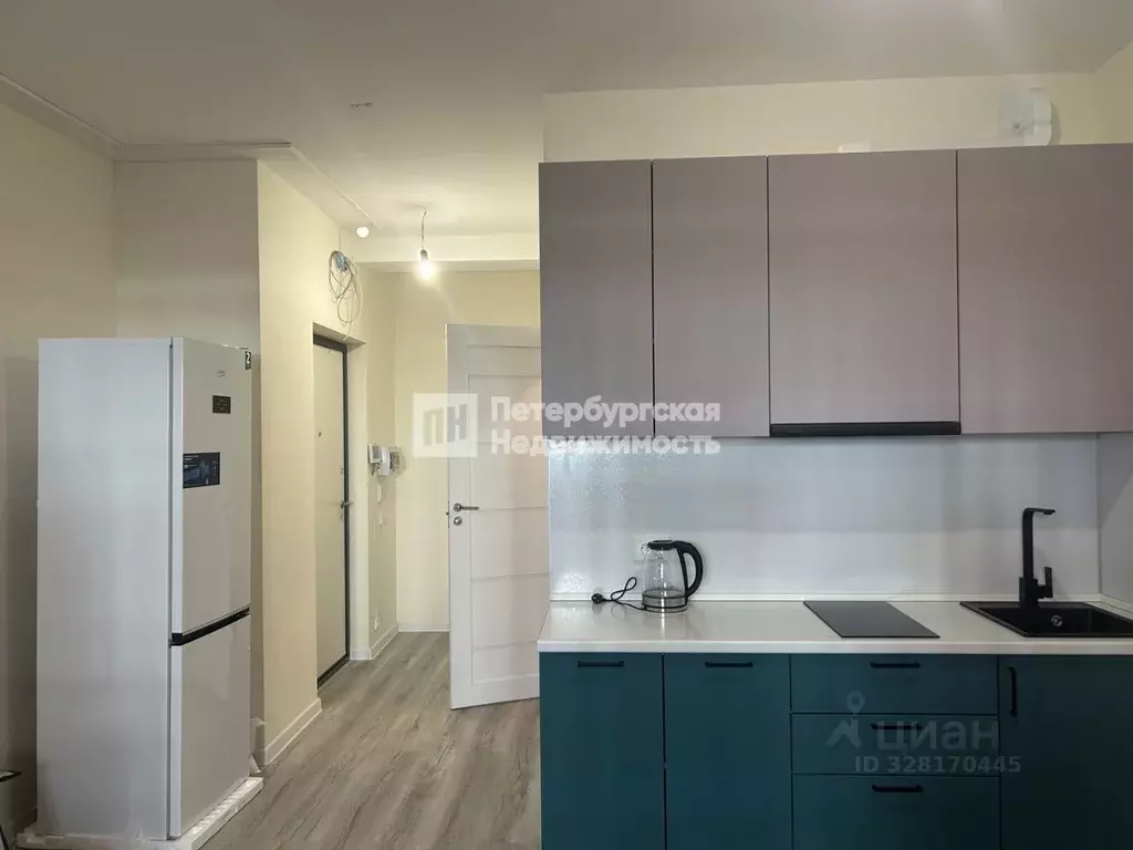 Студия Ленинградская область, Всеволожский район, пос. Бугры ул. ... - Фото 1