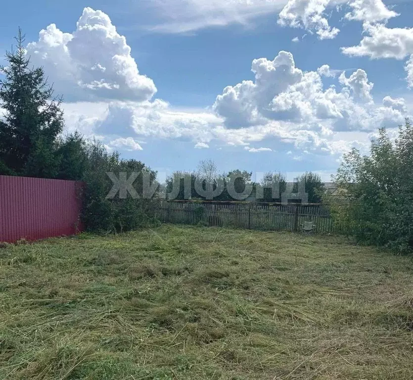 Участок в Новосибирская область, Колывань рп ул. Кирова, 21 (3.0 сот.) - Фото 1