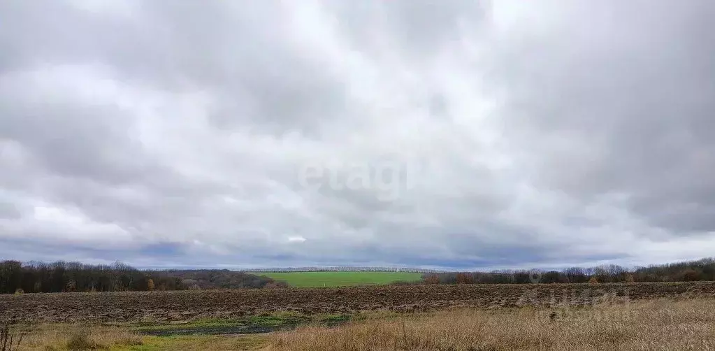 Участок в Курская область, Курск ул. Чудесная (10.0 сот.) - Фото 2