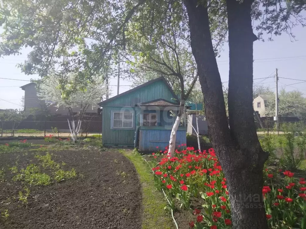 Участок в Липецкая область, Липецк Ветеран труда СНТ, ул. Раздельная, ... - Фото 1