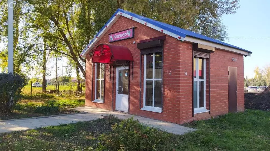 Торговая площадь (24.3 м) - Фото 1