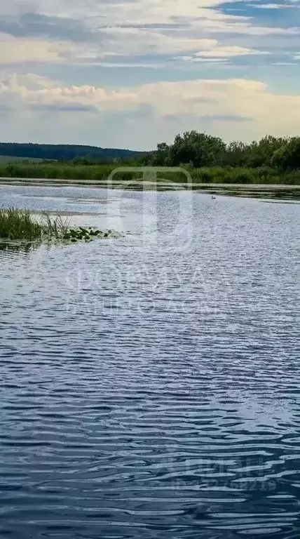 Участок в Челябинская область, Чебаркульский муниципальный округ, д. ... - Фото 2