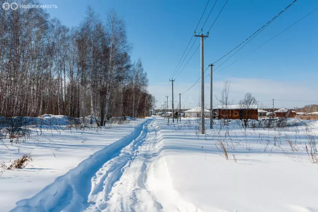 Участок в Тюменская область, Нижнетавдинский муниципальный округ, СНТ ... - Фото 1