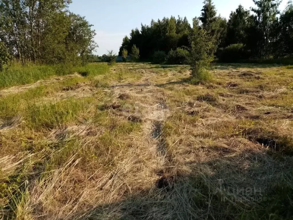 Участок в Орловская область, Орловский муниципальный округ, с. Лаврово ... - Фото 0