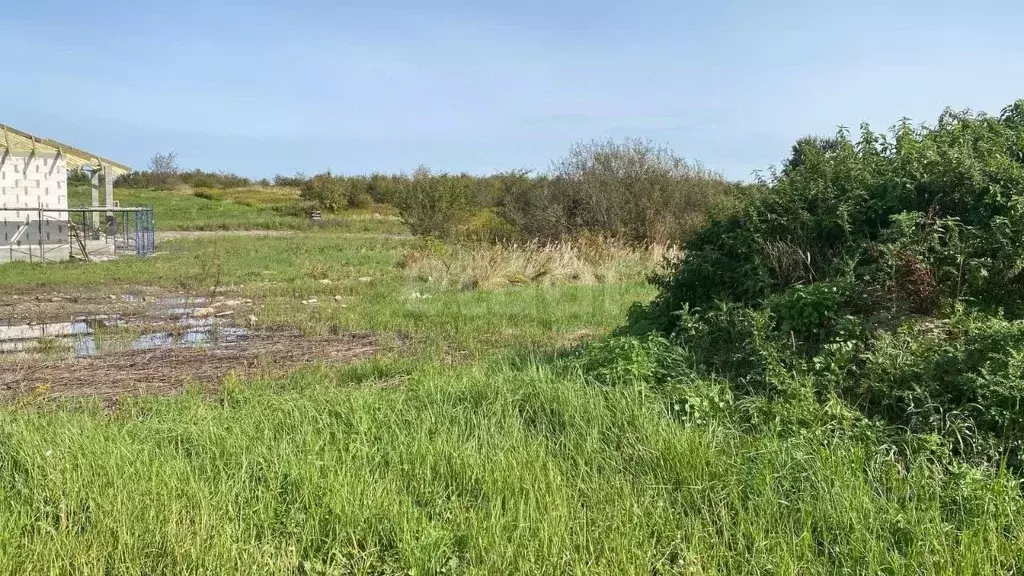 Участок в Калининградская область, Гурьевский муниципальный округ, ... - Фото 2