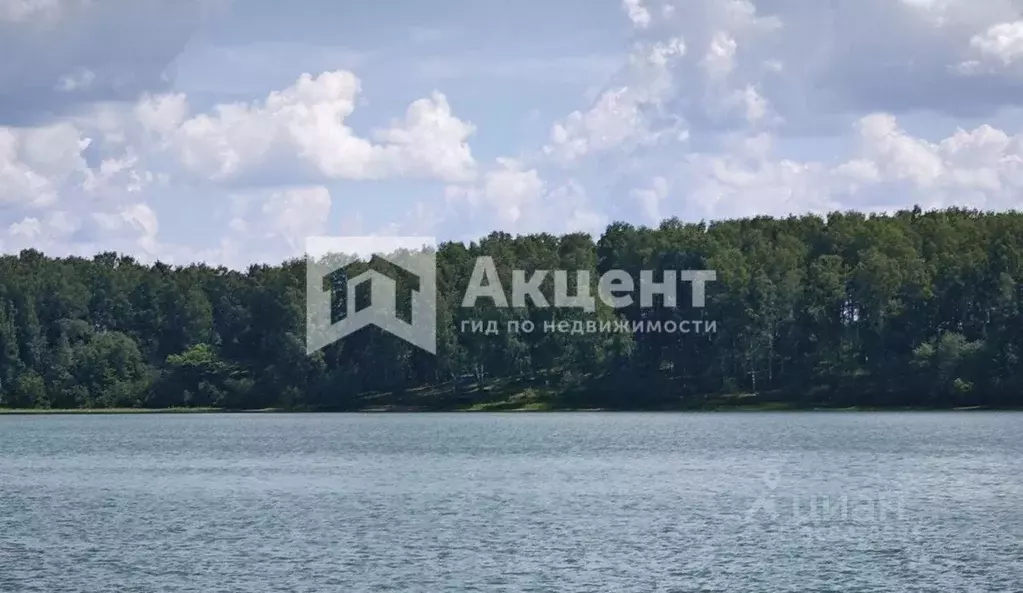 Дом в Ивановская область, Ивановский район, Беляницкое с/пос, д. ... - Фото 1