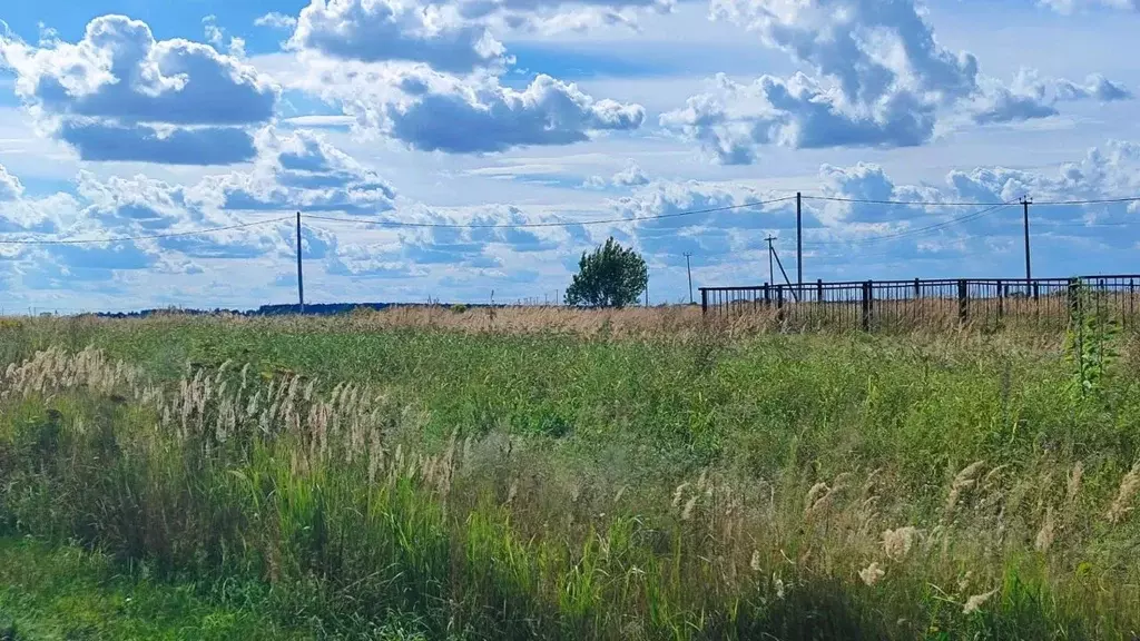 Участок в Московская область, Раменский муниципальный округ, д. ... - Фото 1