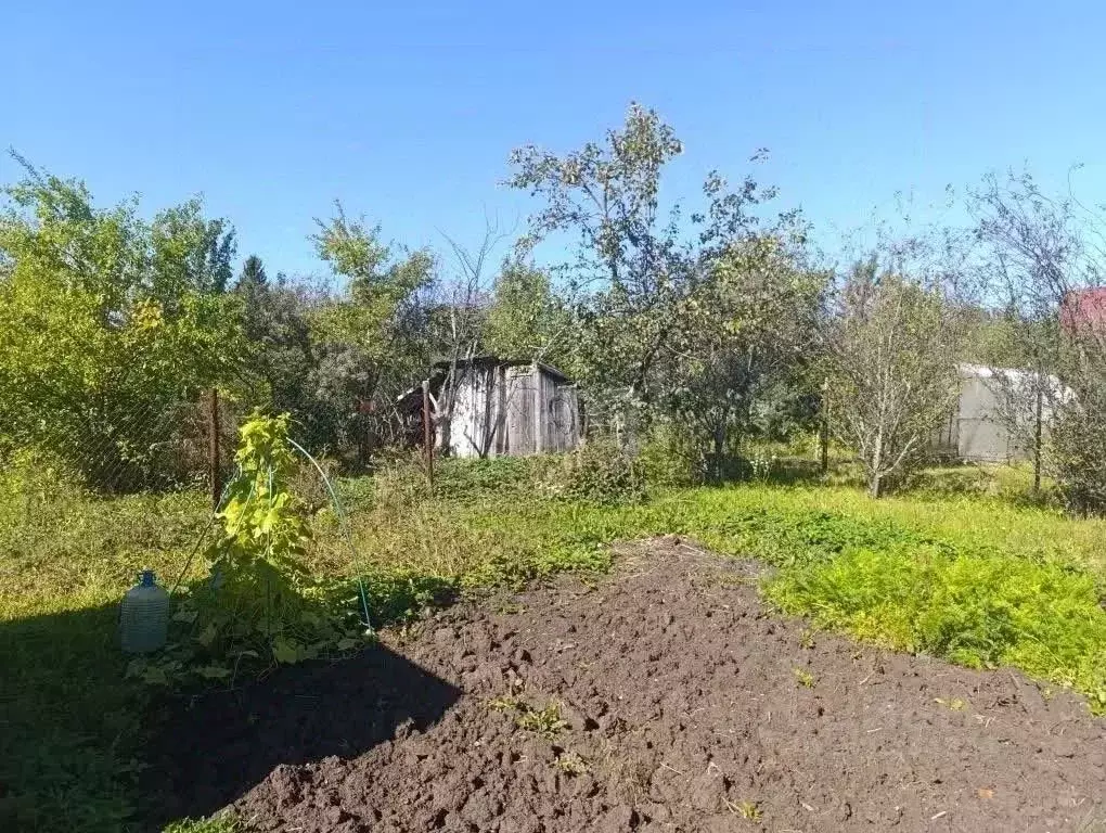 Участок в Башкортостан, Кармаскалинский район, Старомусинский ... - Фото 2