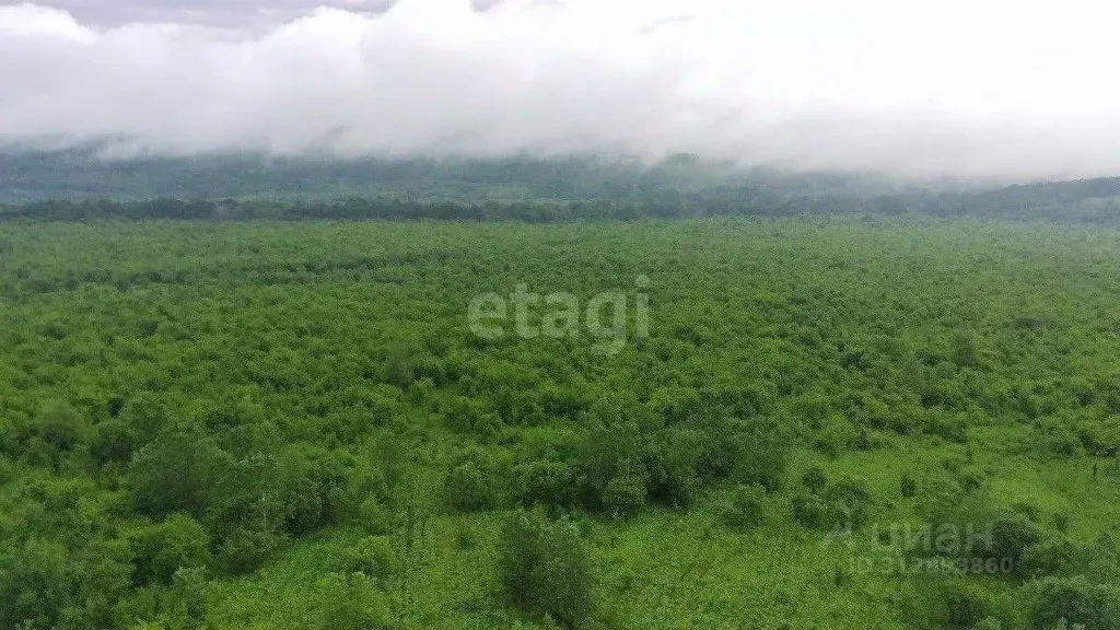 Участок в Адыгея, Майкопский район, Абадзехская ст-ца  (81.0 сот.) - Фото 1