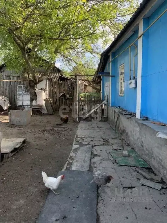 Дом в Белгородская область, Старый Оскол Соковая ул., 16А (26 м) - Фото 1