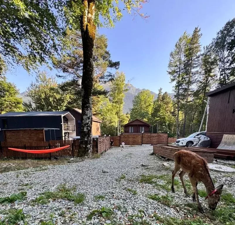 Дом в Карачаево-Черкесия, Зеленчукский район, с. Архыз ул. Лесная, 40 ... - Фото 2