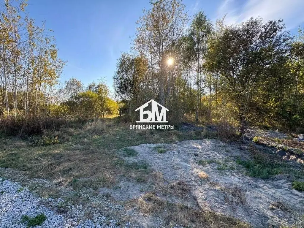 Участок в Брянская область, Навлинский район, пос. Синезерки ... - Фото 0