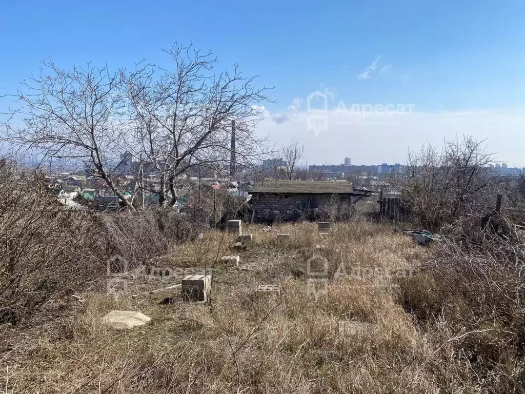 Участок в Волгоградская область, Волгоград Мичуринец СНТ, № 5 массив, ... - Фото 1