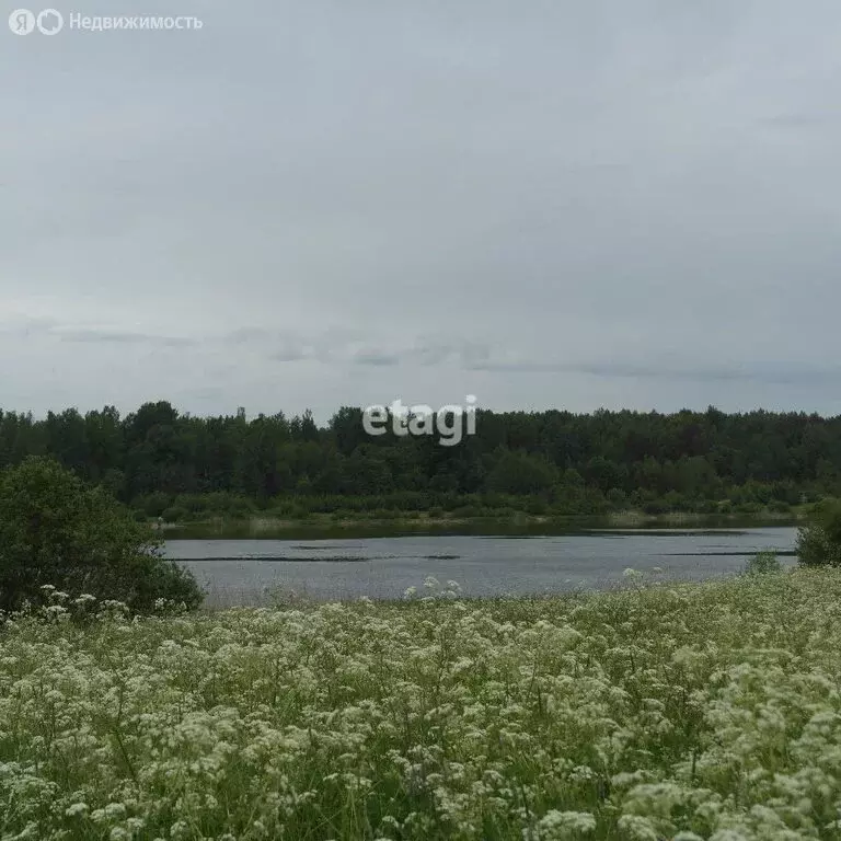 участок в ромашкинское сельское поселение, ясная улица (7.6 м) - Фото 1