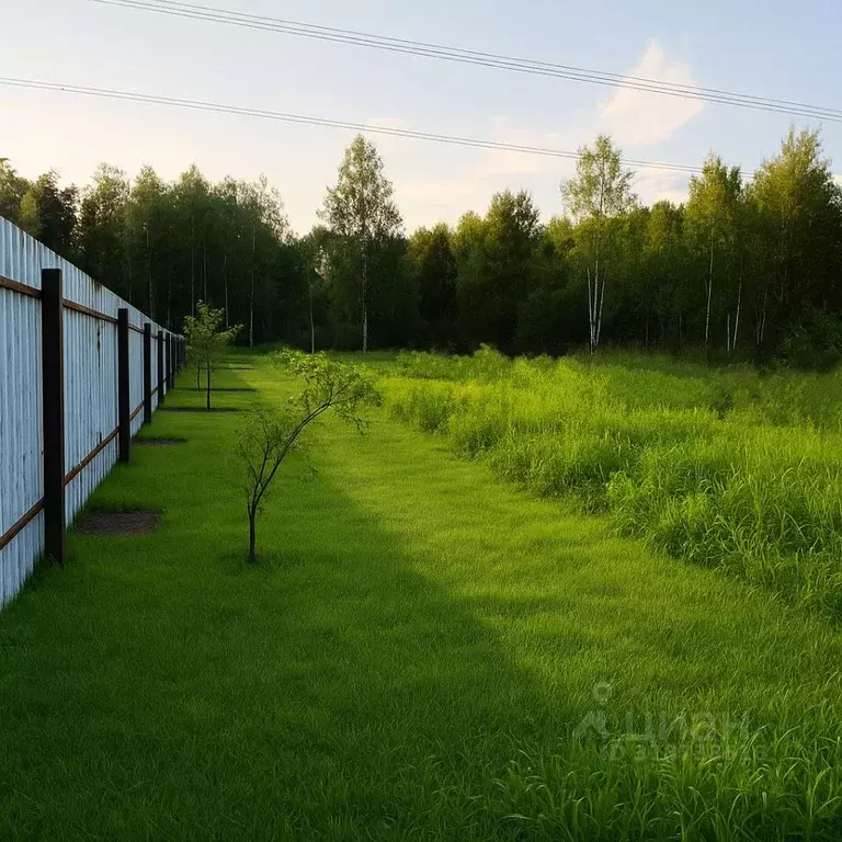 Участок в Московская область, Щелково городской округ, Заозерный СНТ ... - Фото 0