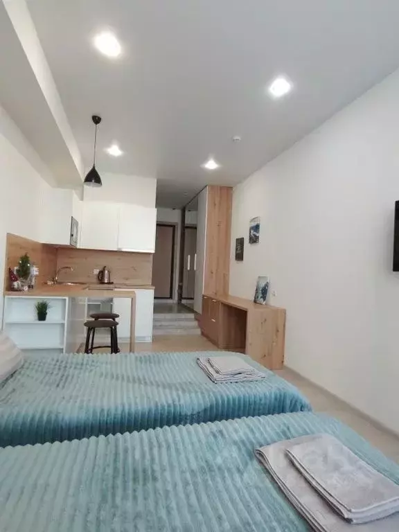 Студия Татарстан, Казань ул. Толстого, 41к2 (24.0 м) - Фото 2