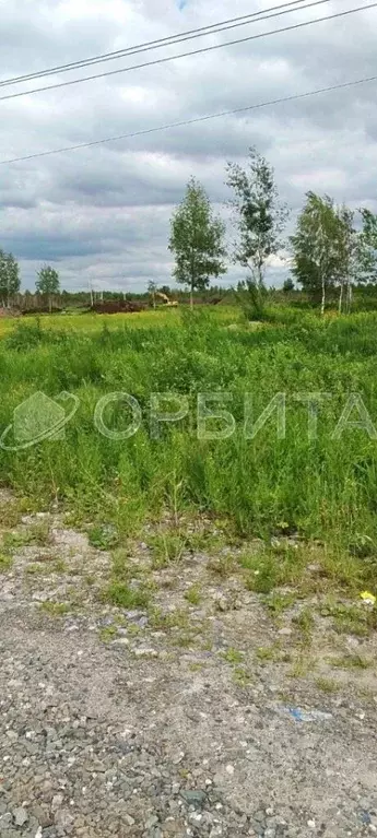Участок в Тюменская область, Тюмень Поле Чудес садовое товарищество, ... - Фото 2