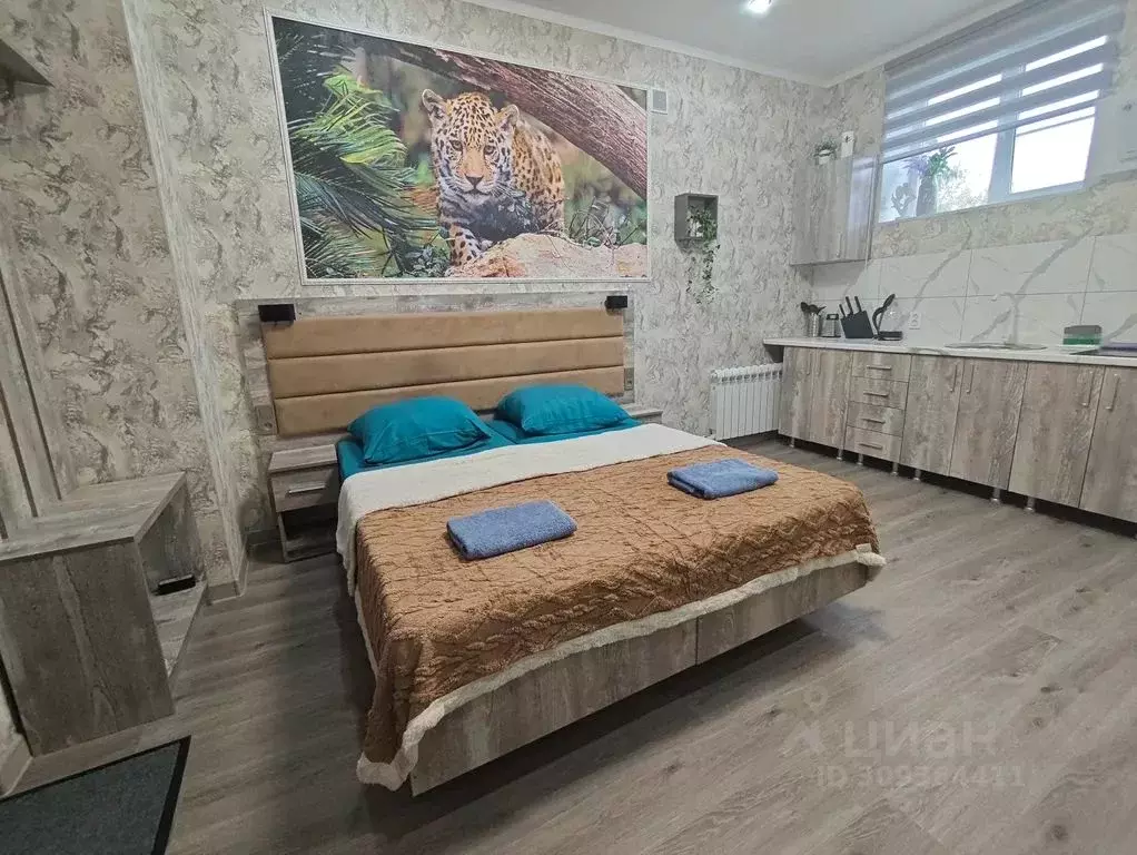 Студия Ростовская область, Шахты просп. Красной Армии, 136 (25.0 м) - Фото 1