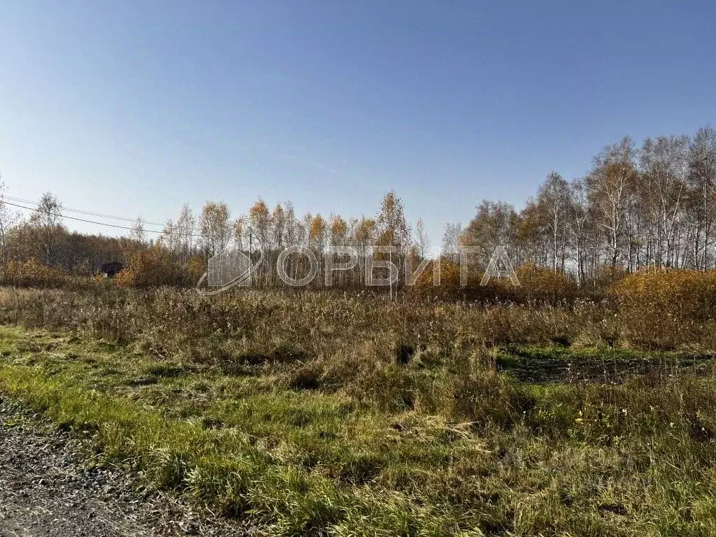 Участок в Тюменская область, Тюменский район, Дачи Хюгге ДНТ ул. ... - Фото 1