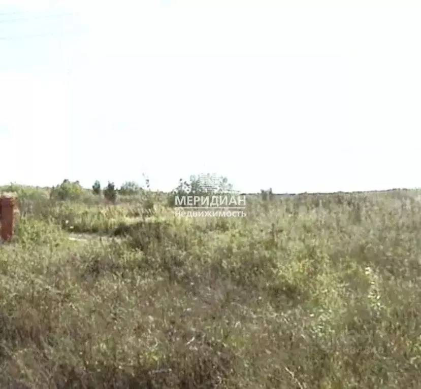 Участок в Нижегородская область, Богородский муниципальный округ, д. ... - Фото 1