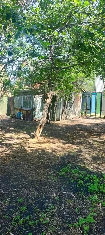 Участок в Челябинская область, Челябинск Дружба садовое товарищество, ... - Фото 2