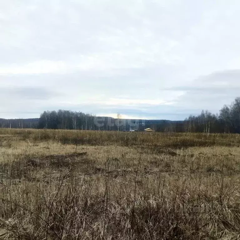 Участок в Тульская область, Тула городской округ, д. Интюшово проезд ... - Фото 1