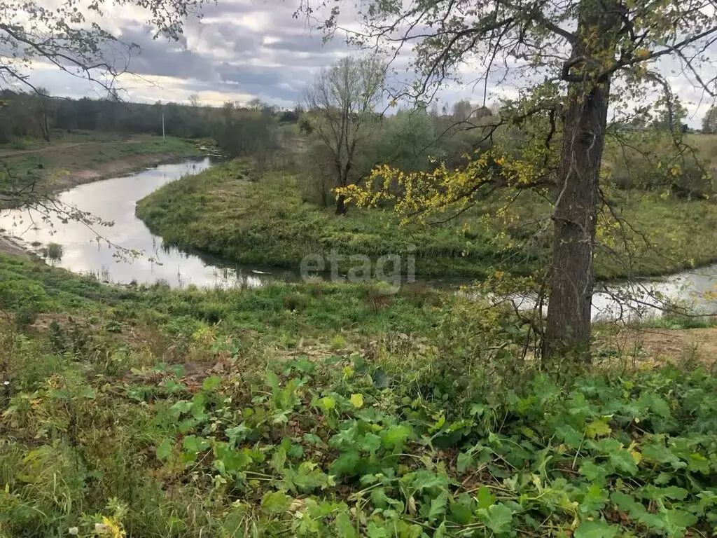 Участок в Тверская область, Конаковский муниципальный округ, село ... - Фото 1