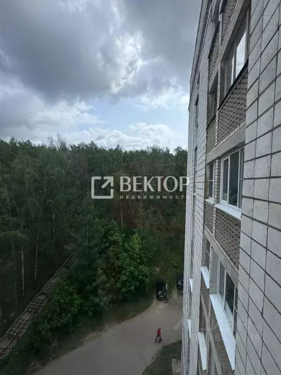 1-к кв. Костромская область, Кострома ул. Крупской, 17 (31.0 м) - Фото 1