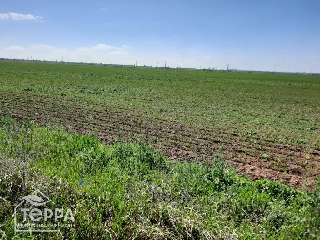 Участок в Крым, Евпатория  (450.0 сот.) - Фото 2